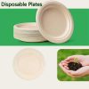 Bagasse-plate-1