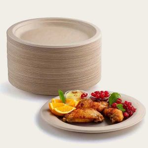 Bagasse-plate-2