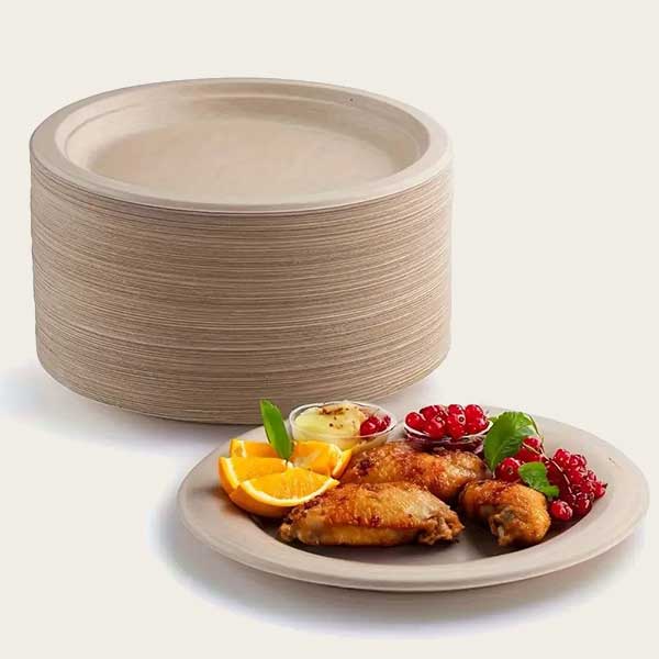 Bagasse-plate-2