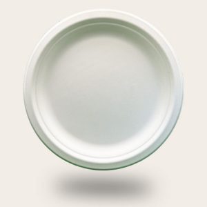 Bagasse-plate-3