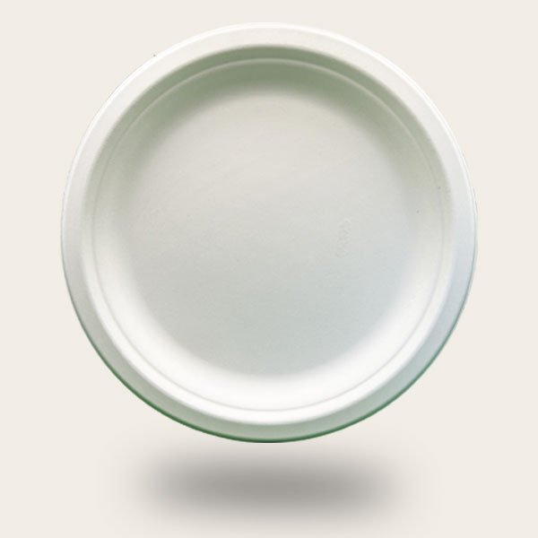 Bagasse-plate-3