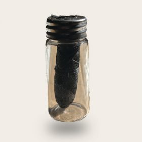 Biodegradable Dental Floss in Glass Bottle – Charcoal + Mint